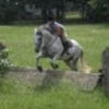 sunnyfarm04